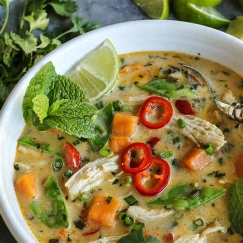 Easy Thai Chicken Soup Recipe l A Farmgirl's Dabbles