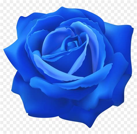 Blue Rose Flower Clip Art Image - Png Download (#2882801) - PikPng