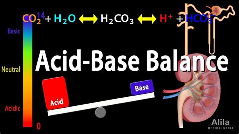 liquid Refurbishment Joke acid base balance chart desirable ...