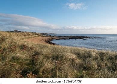 Heading East On Fife Coastal Path Stock Photo 1336984739 | Shutterstock