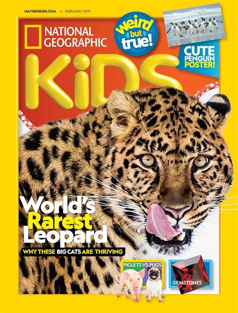 Magazine Cover Page For Kids