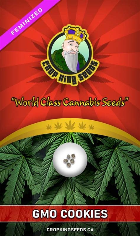 Buy GMO Strain Feminized Marijuana Seeds Online | Crop King Seeds