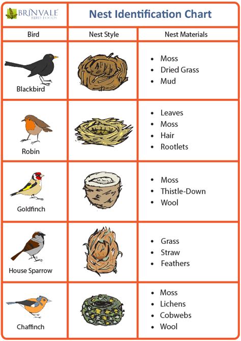 Nest identification chart - Wildcat Wilderness