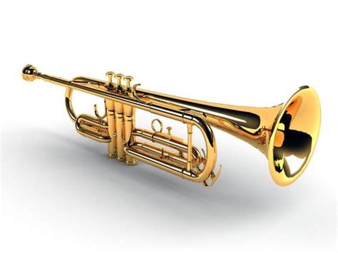 This instrument is from the brass family. The instrument shown is a trumpet. The brass family is ...