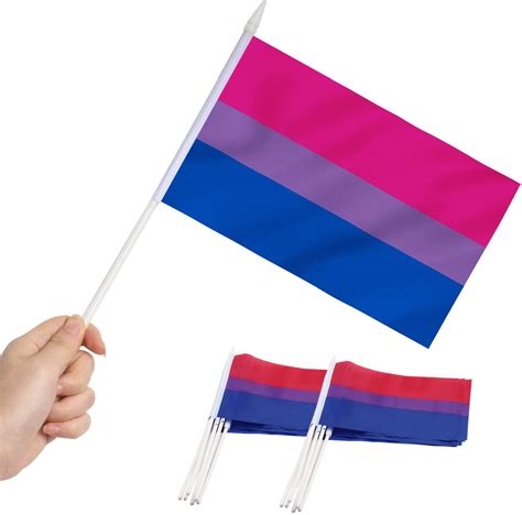 Anley Bisexual Pride Mini Flag 12 Pack - Hand Held Small Miniature Bi ...