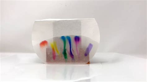 Paper Chromatography Experiment - YouTube