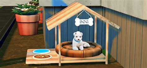 Best Pet Clutter Packs for The Sims 4 (All Free) – FandomSpot