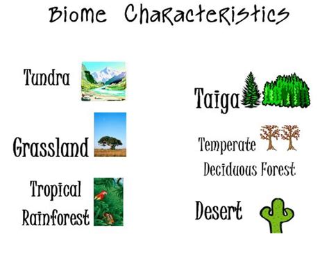 Life, Love, Literacy: Biome Characteristics Multiple Choice