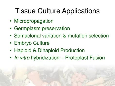 PPT - Tissue Culture Applications PowerPoint Presentation, free download - ID:1743527