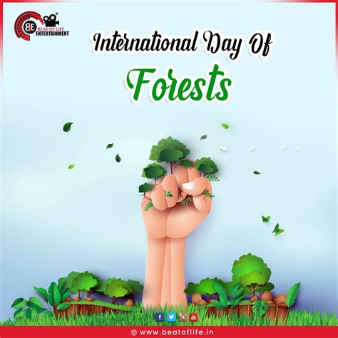 International Forest Day