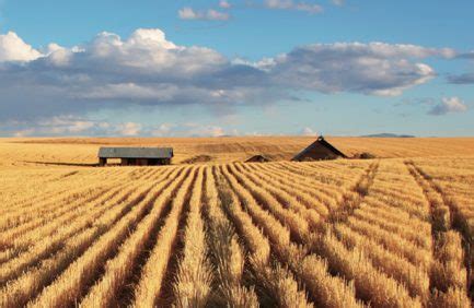 North Dakota Agriculture - Farm Flavor