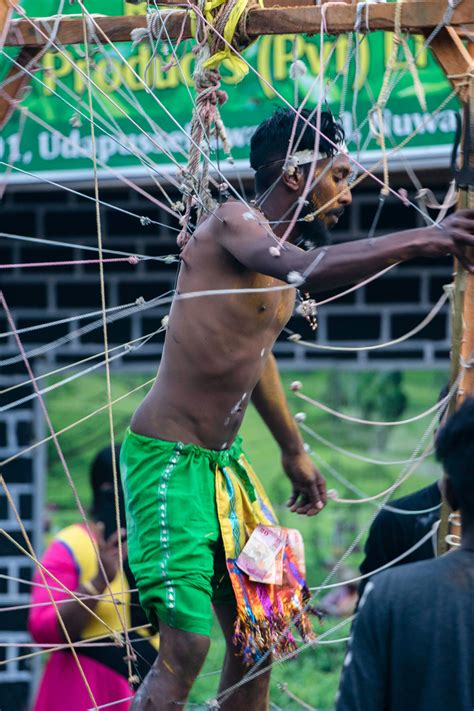 Thaipusam Photos, Download The BEST Free Thaipusam Stock Photos & HD Images