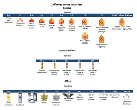 The complete list of US military ranks (in order) - Sandboxx