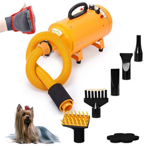 Dog Hair Dryer: Best 2021 Grooming Hair Dryers Review | Dogsrecommend