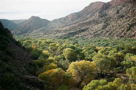 Sycamore Canyon autumn, near Clarkdale, AZ | Sycamore canyon, Canyon ...