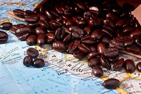 The Ultimate Guide to Peruvian Coffee - Eat Peru