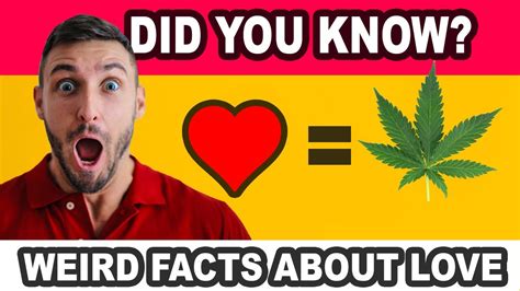 Weird and Amazing Facts About love You probably Dont Know !!! - YouTube