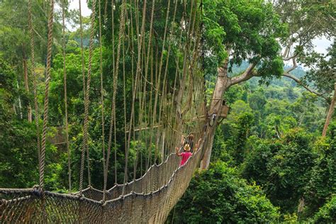 Kakum National Park (Official GANP Park Page)