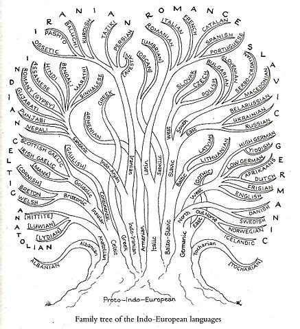 Language Family | Definition, Summary & Examples - Lesson | Study.com