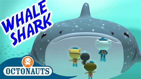 Octonauts - The Whale Shark | Series 1 | Full Episode | Cartoons for Kids - YouTube