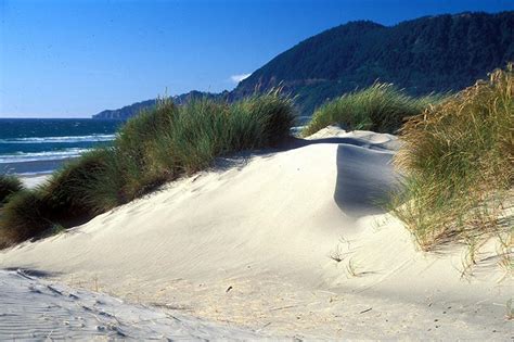 Nehalem Bay State Park - This American Dream