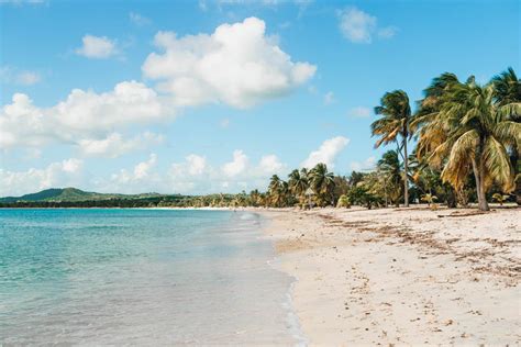 Day Trip To Vieques Puerto Rico | Things To Do & How To Get There