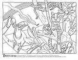 Forest Habitat Coloring Pages Sketch Page sketch template