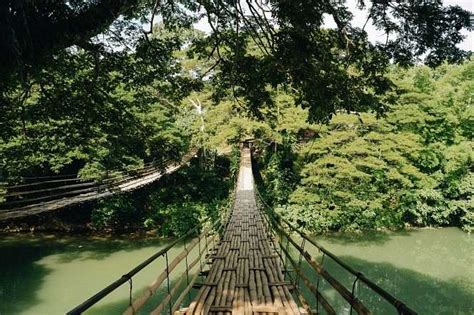 Crossing The Breathtaking Tigbao Hanging Bridge Bohol Philippines - Bohol Beach Resorts and ...