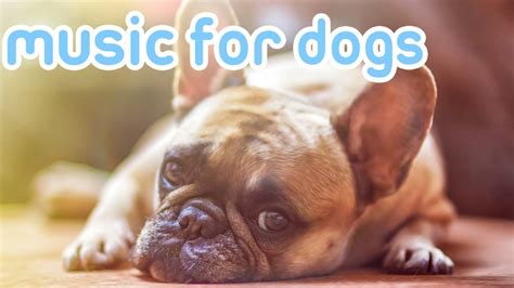 NEW Relaxing Music to Calm Your Dog! [2019] - YouTube