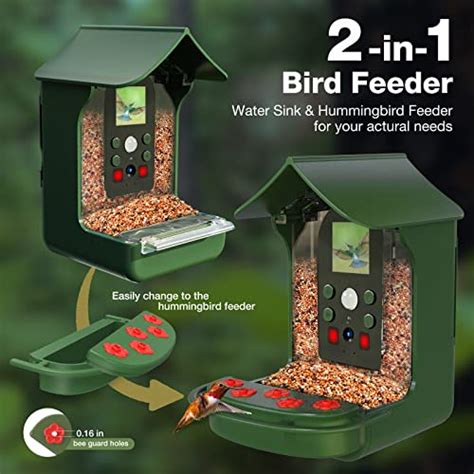 The Best Bird Feeder With Wireless Camera - The Bird Geek