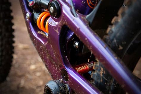 Mullet Mods: The Forbidden Bikes Ziggy Link - BikeMag