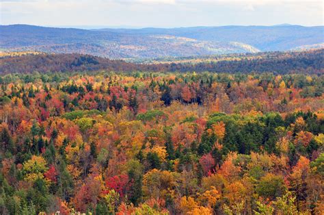 Mountain Fall Foliage Wallpapers - Top Free Mountain Fall Foliage ...