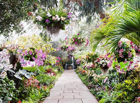 New York Botanical Garden's Orchid Show: Sneak Peek! | InStyle.com