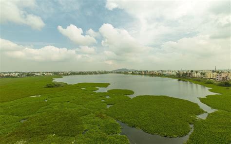 Restoring Chennai’s Lake Sembakkam for water security and improve