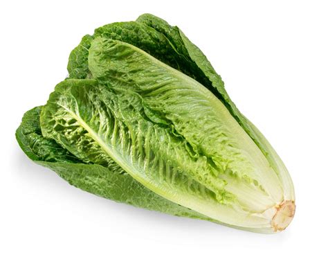 Buy Romaine Lettuce Hearts Online | Walmart Canada