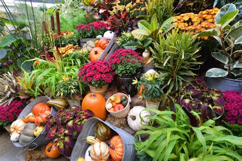 Butchart Gardens Hours In October | Fasci Garden