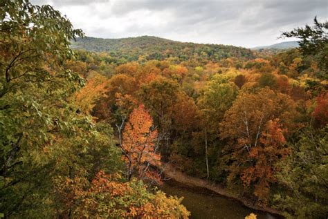 5 Eureka Springs Fall Activities to Celebrate the Season | Can U Canoe Riverview Cabins