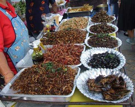 Eating Insects in Thailand | Entomo Farms