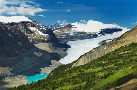 Saskatchewan Glacier Banff National Park - Alan Majchrowicz Photography