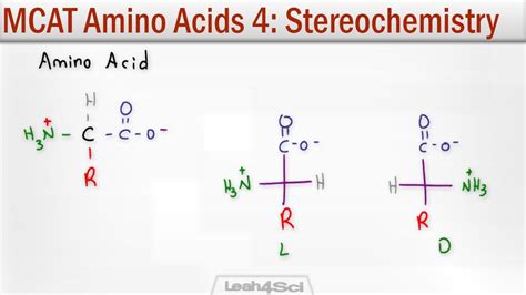 Pin on MCAT Bio / Biochemistry Tutorials and Resources