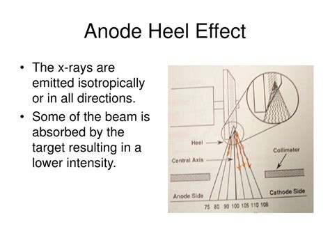 PPT - Chapter 9 The X-ray Machine PowerPoint Presentation, free download - ID:6869278