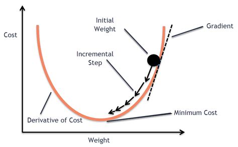 Stochastic vs Batch Gradient Descent | by Divakar Kapil | Medium