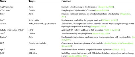 Actin-binding and actin-associated proteins involved in cofilin-actin ...