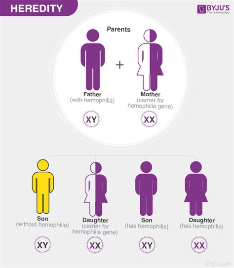 Heredity- Information about Heredity, Its Process and Inheritance