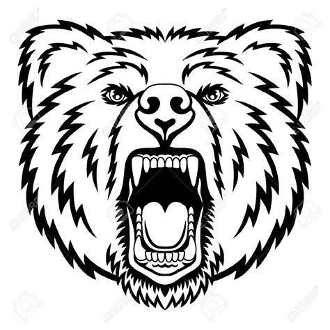 Grizzly Bear Head Drawing at GetDrawings | Free download