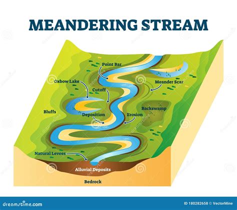 Meandering Stream Vector Illustration. River Curves Cause Explanation ...