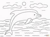 Dolphin coloring Page  Free Printable Coloring Pages sketch template