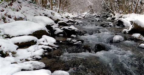 Winter Landscape with River Free Stock Video Footage, Royalty-Free 4K & HD Video Clip