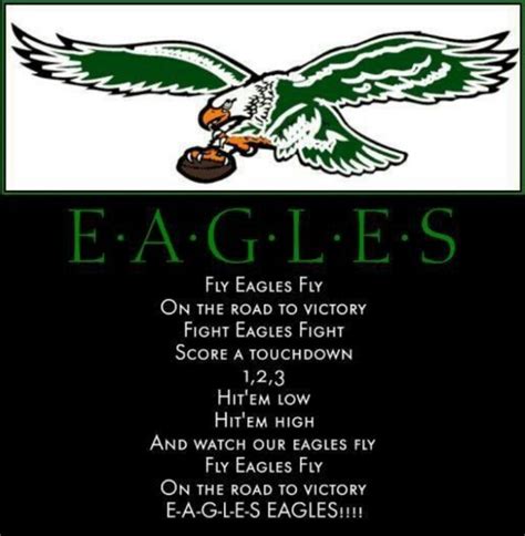 Soaring Melodies: The Spirit Of "Fly Eagles Fly" Song