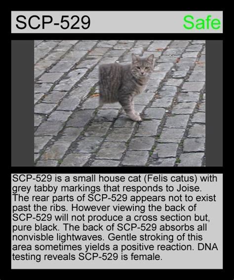 Scp- 529 (Josie the half cat) | SCP Foundation Amino